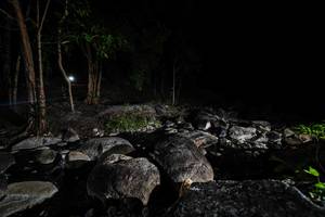 BIB: 
                            <button type="button" onclick="openModal(18617531)" class="btn btn-primary btn-sm float-right btn-popup" data-toggle="modal" data-target=".modal-high-quality">
                        <i class="fas fa-shopping-cart"></i> Add to Cart
                    </button>
                                            <button type="button" onclick="isThisMe(18617531, true)" class="btn btn-success btn-sm float-right btn-popup btn-isme hidden" data-toggle="tooltip" data-placement="bottom" title="นี่คือรูปของคุณใช่ไหม คลิกที่นี่เพื่อเอาเข้าอัลบั้ม">
                        <i class="fas fa-plus"></i> Add to album
                    </button>
                    <button type="button" onclick="isThisMe(18617531, false)" class="btn btn-warning btn-sm float-right btn-popup btn-isnotme hidden">
                        <i class="fas fa-ban"></i> Remove from album
                    </button>